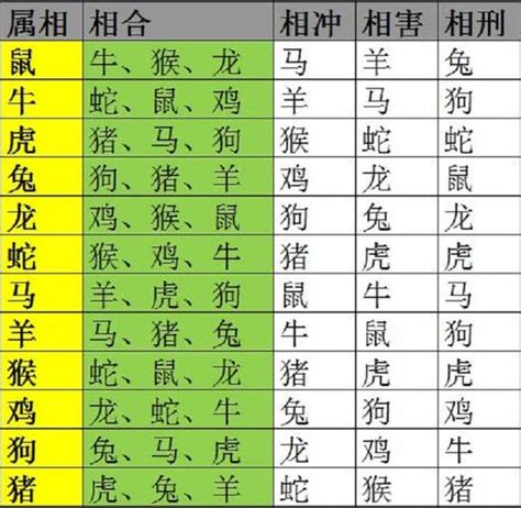 生肖相剋化解|十二生肖的相生相克大全表 生肖相冲怎么化解